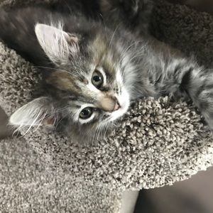 Meet your Posher, Karyn